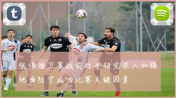 张伟丽卫冕战前对手研究深入加强地面防守成为比赛关键因素